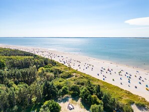 Eine Vogelperspektive zeigt einen Strand mit Reihen von Liegestühlen und Sonnenschirmen, umgeben von üppiger Vegetation.