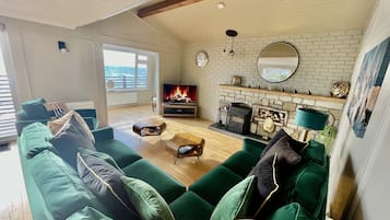 TV, fireplace, DVD player