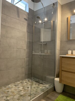 Shower, hair dryer, towels