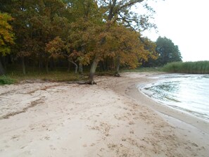 Una spiaggia nelle vicinanze