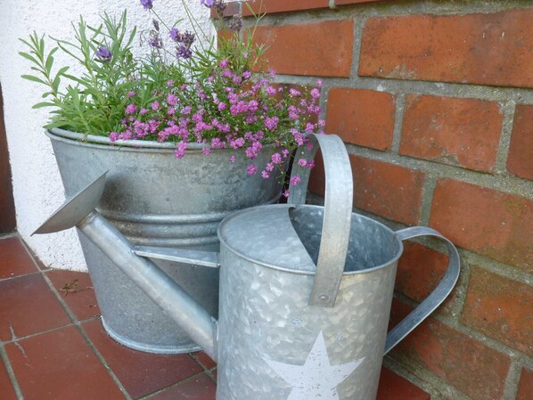 Unclassified image, 1 of 17, button