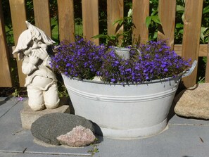 Unclassified image, 5 of 17, button