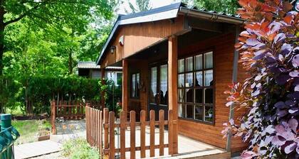 Close to tourist attractions, stores, restaurants, pets allowed, fenced garden.