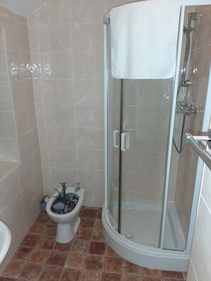 Shower, hair dryer, towels, toilet paper