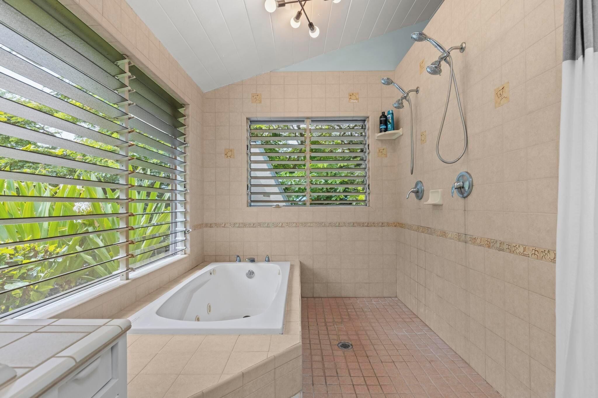 Shower, jetted tub, hair dryer, towels