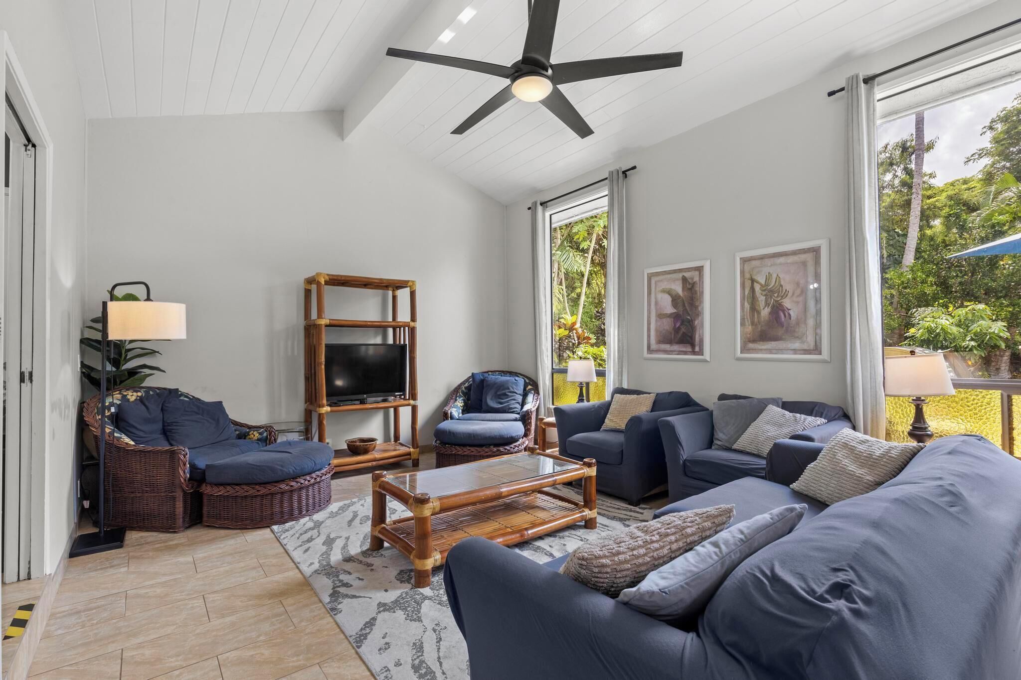 Smart TV, DVD player, computer monitors