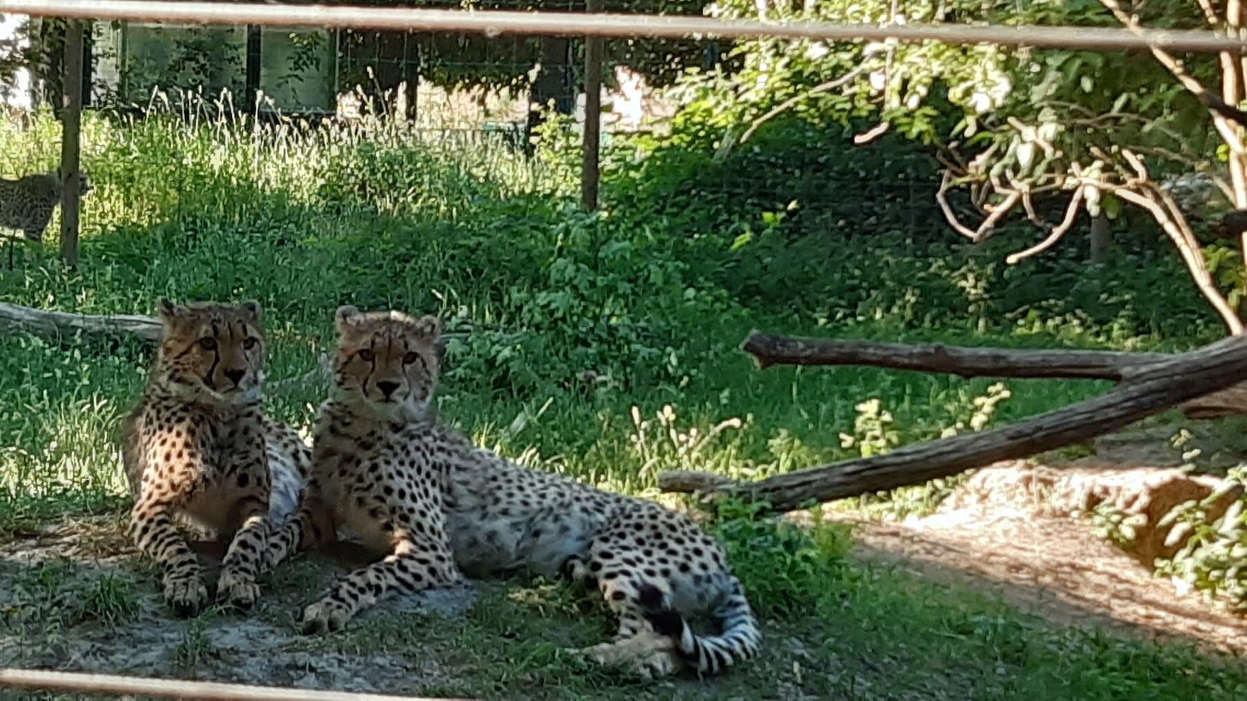 Foto - Westend City Hostel