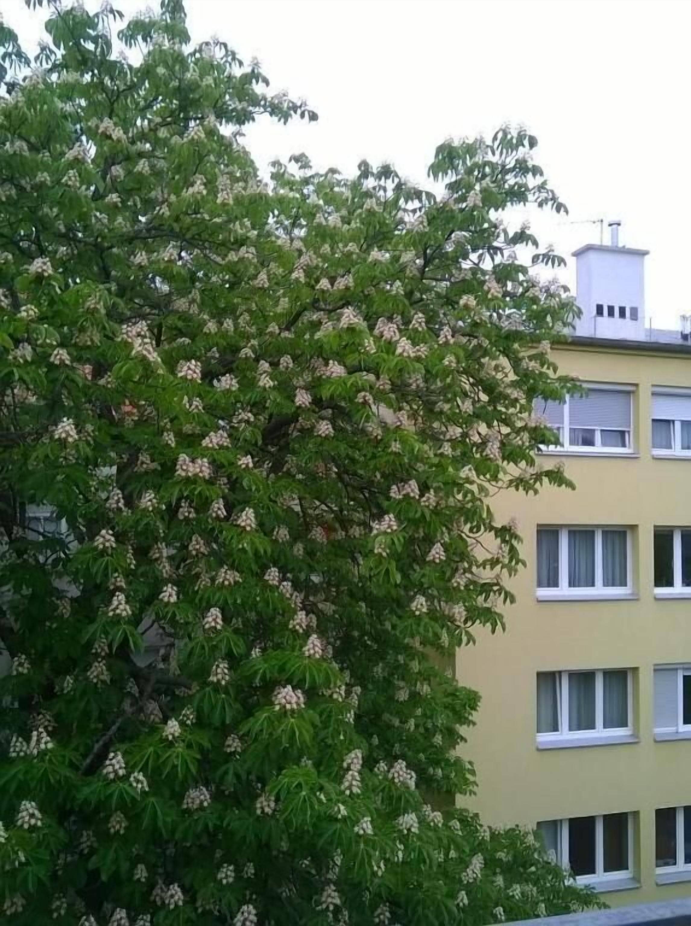 Foto - Westend City Hostel