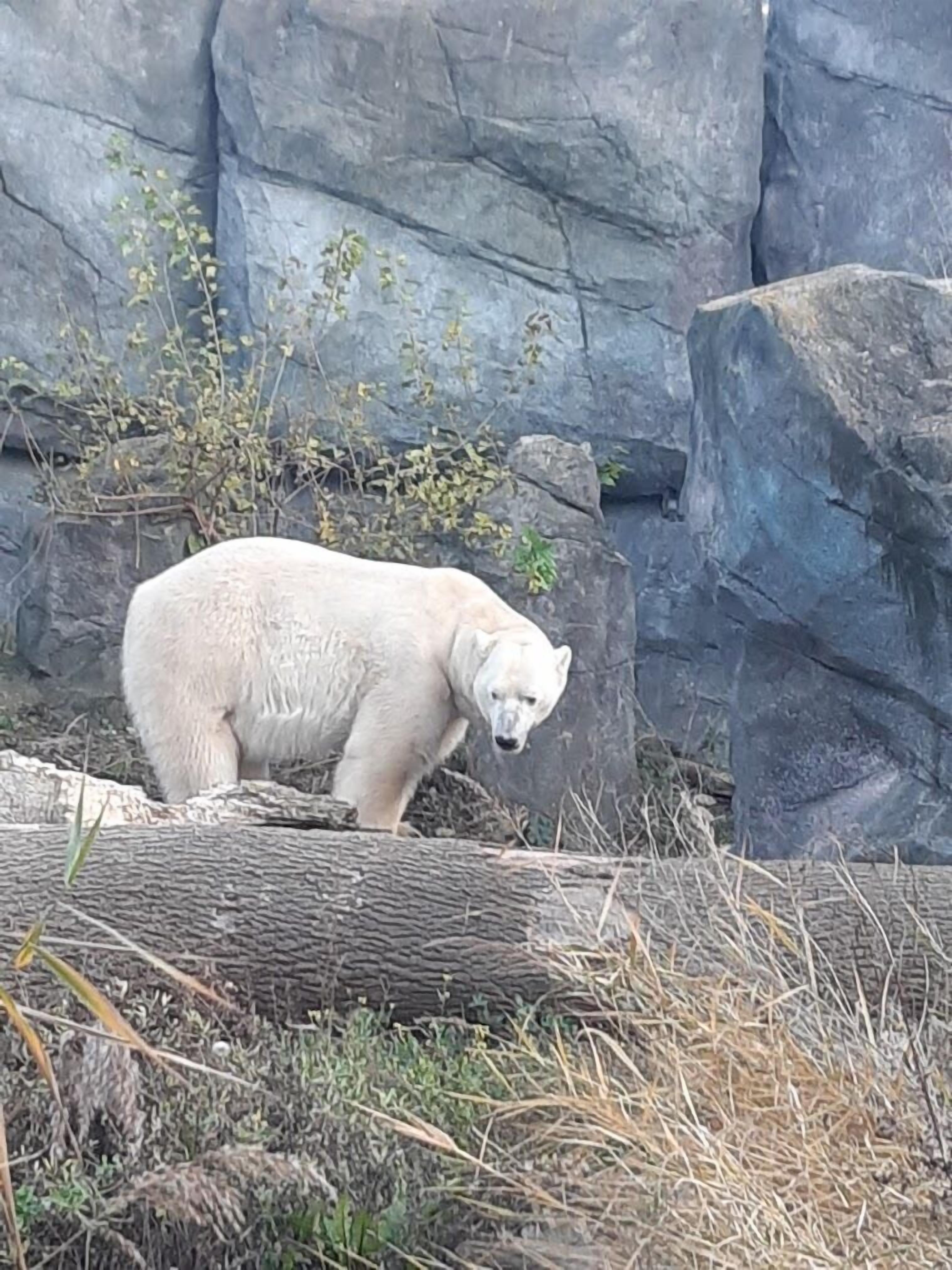 Foto - Westend City Hostel