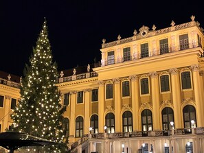 Un gran árbol de Navidad iluminado frente a un edificio clásico y majestuoso con múltiples ventanas y balcones.