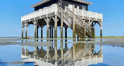Apartment in quiet residence with swimming pool - lots of trees and sunshine