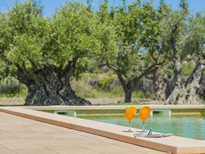 A swimming pool with two glasses of orange juice on the edge. - Villa Can Segue · Villa with private pool in Alcúdia (Alcúdia)