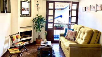 TV, fireplace, books