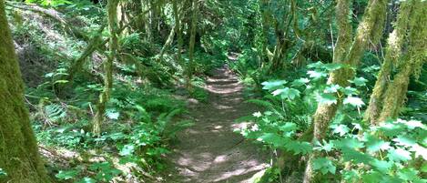 House, 3 Bedrooms, Balcony | Garden