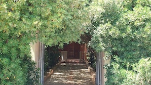A covered pathway leading to a building entrance, flanked by dense greenery and stone railings. - Room-sa Domu Sarda - Apartment With Terr (Piscinas)