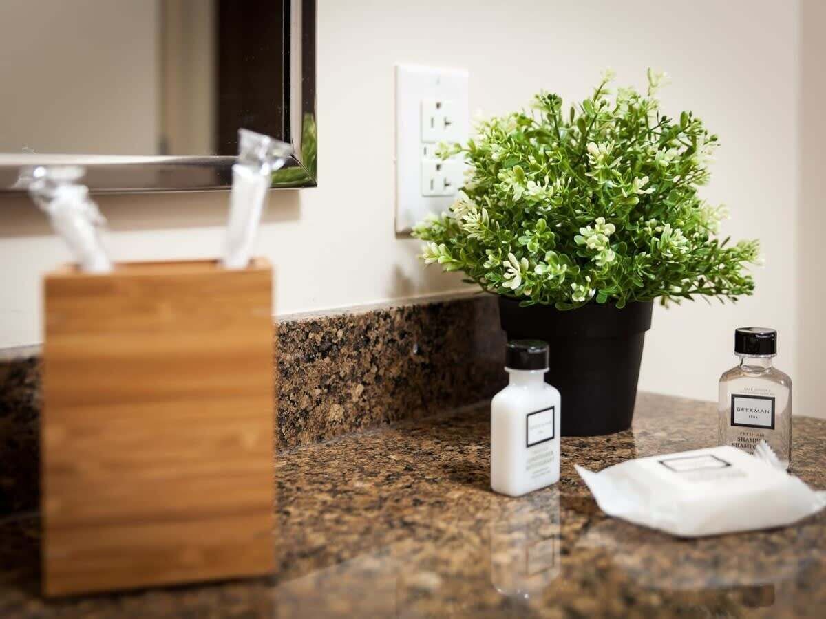 Una encimera de baño con una planta en maceta, un dispensador de jabón y una botella de champú.