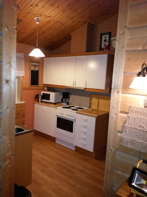 Kühlschrank, Mikrowelle, Herdplatte, Geschirrspüler