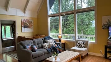 TV, DVD player, books, video library