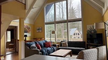 Smart TV, DVD player, books, video library
