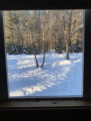 A snowy forest view through a window. - Cozy Wisconsin home a block off Lake Arbutus. (Merrillan)