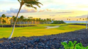 Un terrain de golf avec un palmier, un immeuble à plusieurs étages et une vue sur l’océan.