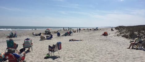 Playa en los alrededores