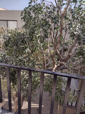 住宿场地