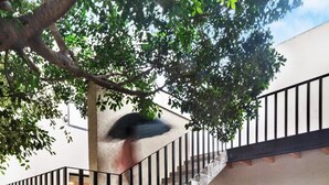 Escadaria de concreto com corrimãos de metal que leva a uma varanda, cercada por pedrisco e uma árvore.