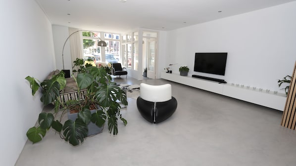 A modern living room with a large potted plant, a black chair, and a flat-screen TV mounted on the wall.