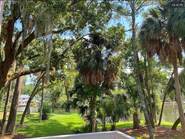 Property grounds - Family-Friendly Townhome with Resort Amenities Included - 1/2 Mile to Beach (Edisto Beach)
