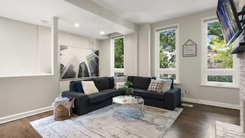 Smart TV, fireplace, books