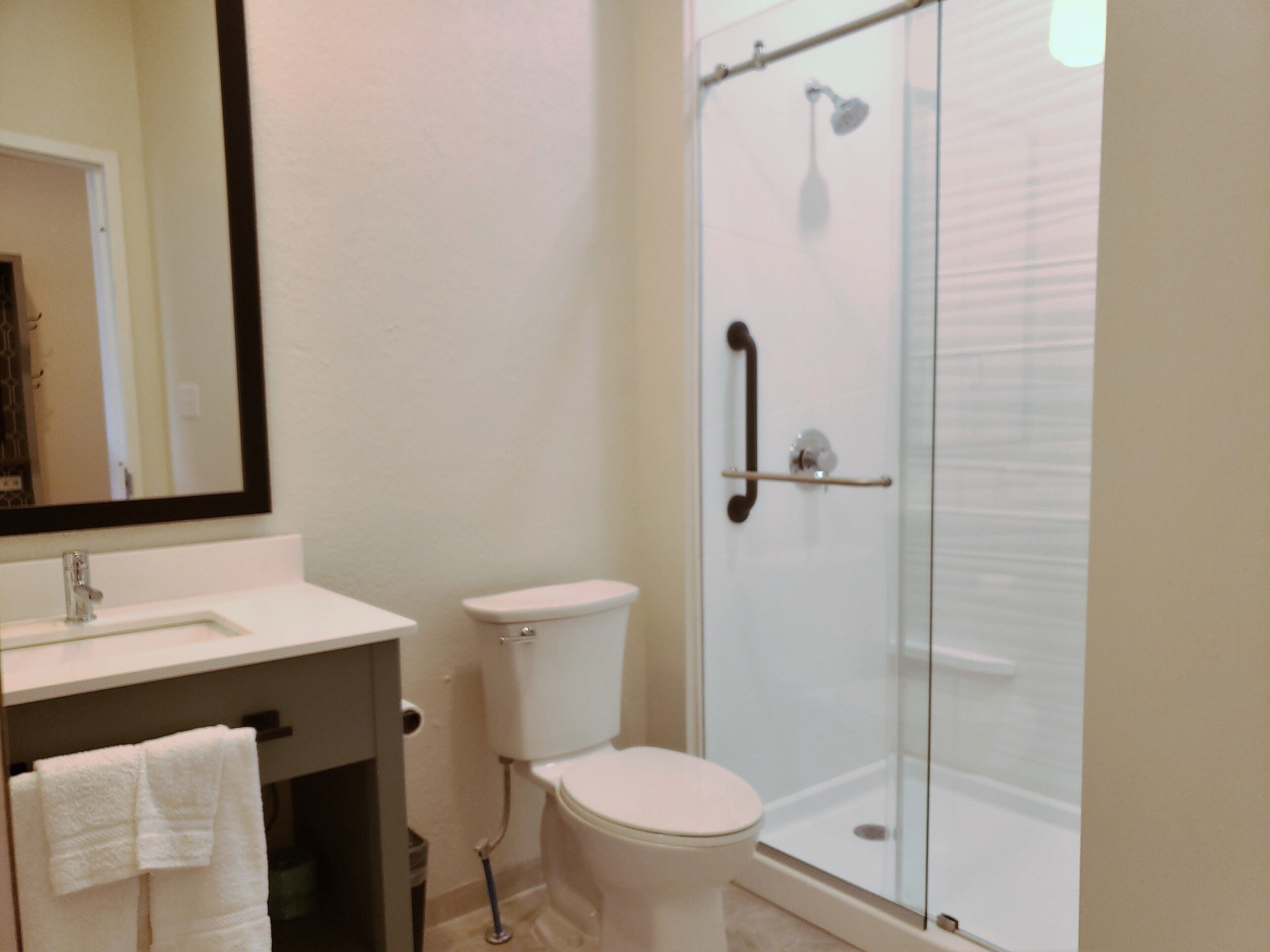 A bathroom with a glass-enclosed shower, a white toilet, and a sink with a mirror above it.
