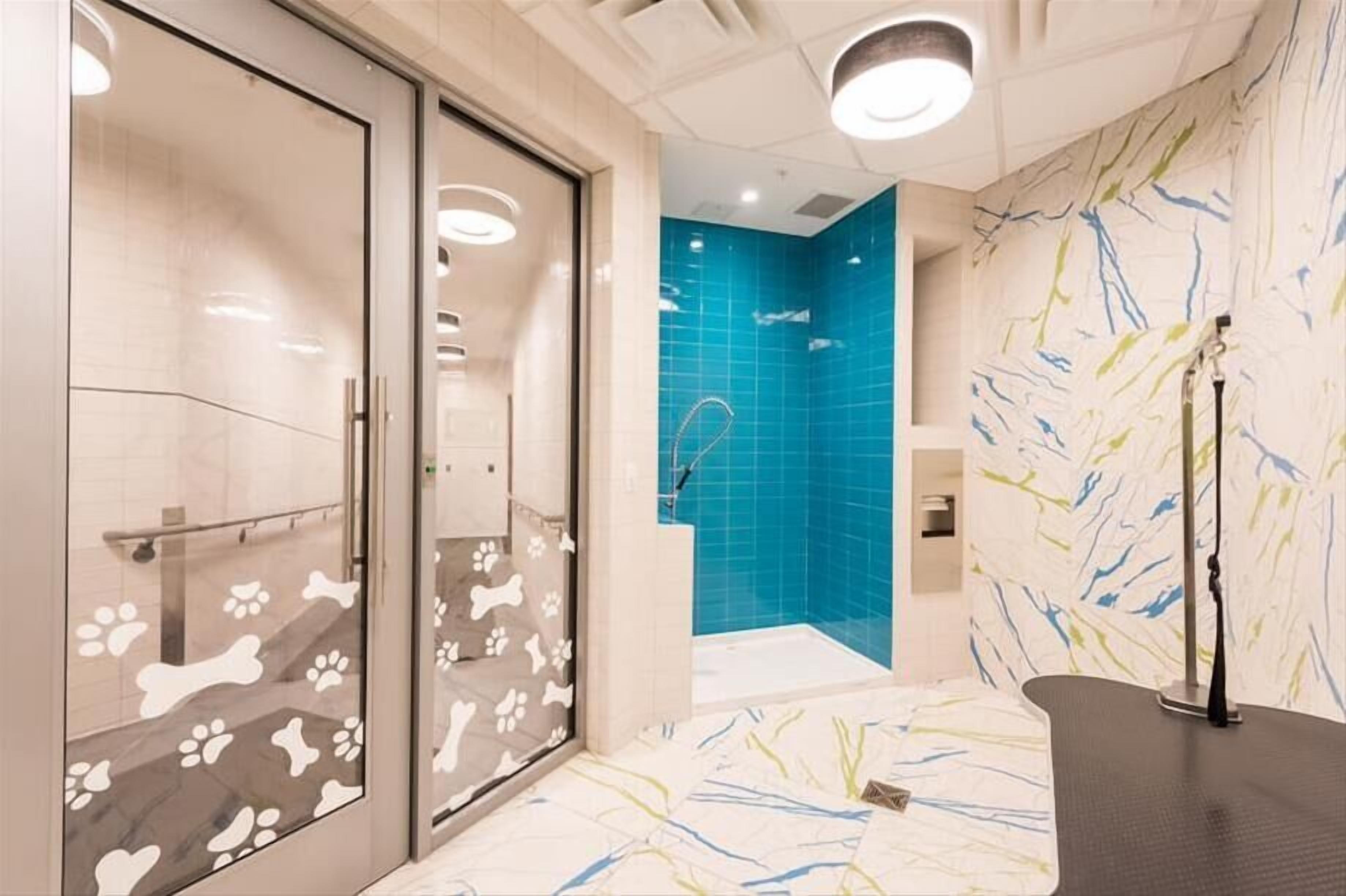 A modern bathroom with a glass door, a blue-tiled shower area, and a patterned floor.