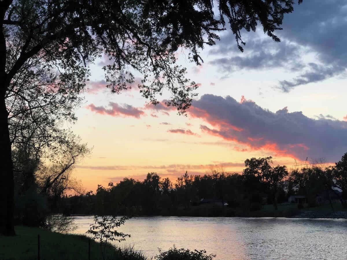 A river with trees and a cloudy sky.