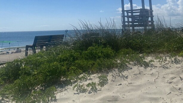 Ein Strand mit einem Rettungsturm, einer Bank und blauem Himmel.