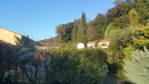 A house surrounded by dense greenery and tall trees, with a clear sky above. - 2-room apartment Résidence Provençale Air-conditioned Parking Pool 2 km Sea (Villeneuve-Loubet)