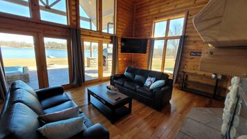 Smart TV, fireplace, books