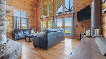 Smart TV, fireplace, books