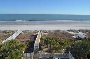 On the beach - Sandy Paws - Oceanfront in Surfside Beach, SC (Surfside Beach)