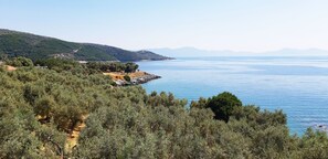 Un paysage côtier avec des oliviers, une côte rocheuse et une vue dégagée sur la mer.