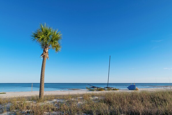Enjoy a serene beach scene with a palm tree and small boats, perfect for sailing or fishing.