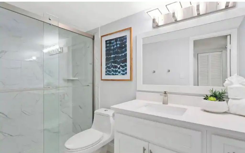 Un baño moderno con cabina de ducha de vidrio, un inodoro blanco, un espejo grande y un lavabo con una planta en la encimera.