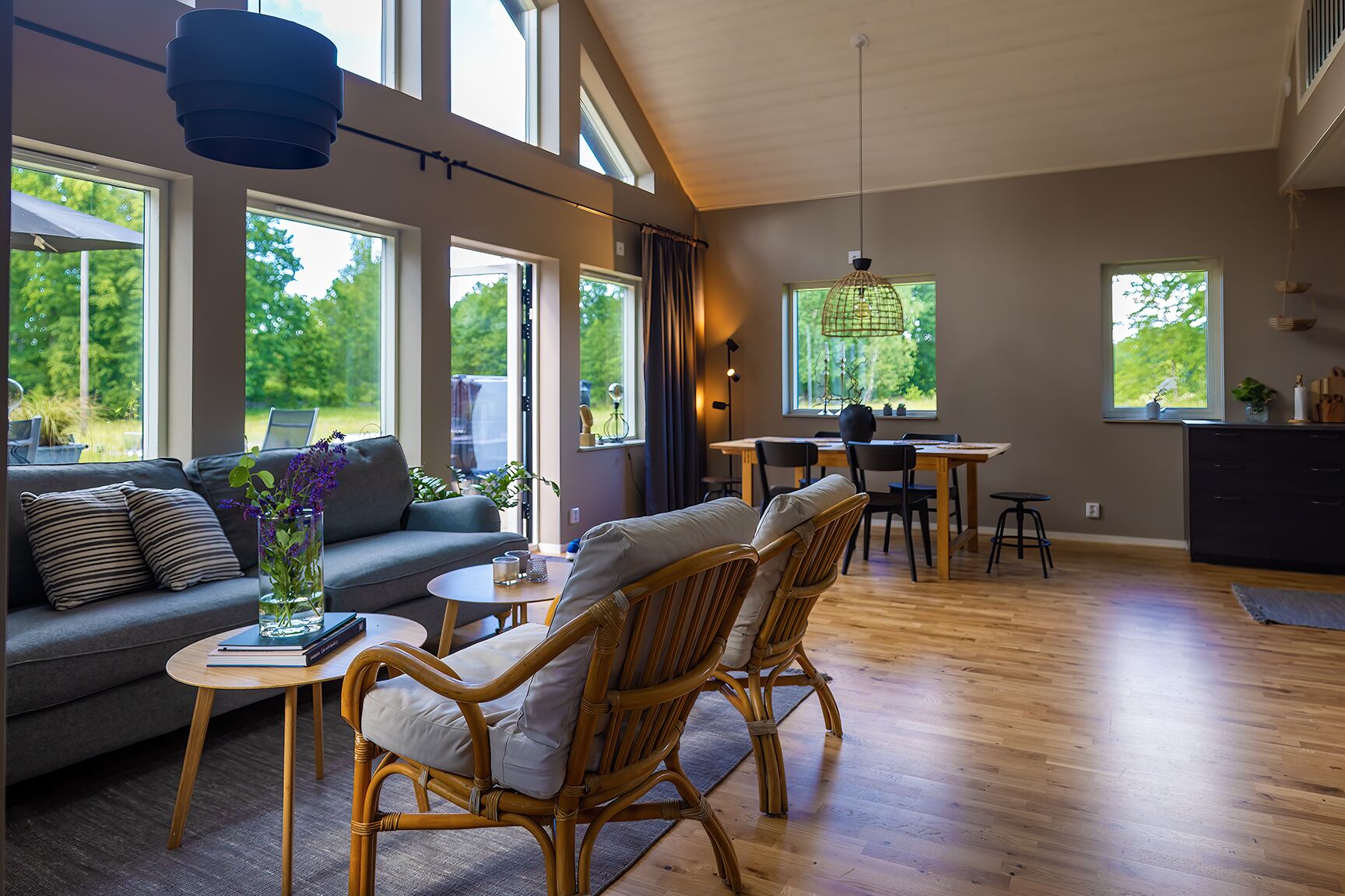 Vista des de l'allotjament