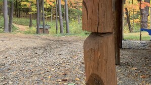 Eine Holzhütte mit natürlichem, rustikalem Design, umgeben von einem Wald mit herbstlich gefärbten Bäumen.