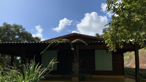 A house with a green roof, a porch, and a potted plant in the foreground. - Pousada Saúde Melhor (Extrema)