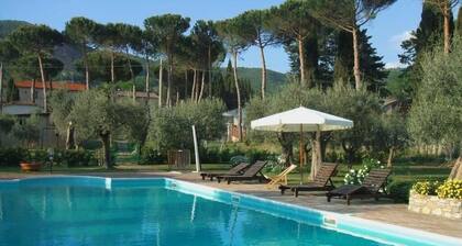 Vacation apartment among olive trees a stone's throw from Lake Trasimeno