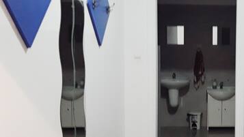 Shower, towels, soap, toilet paper