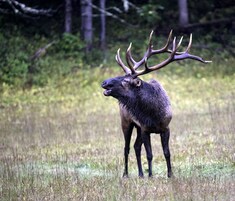 开间 (3 Bedrooms) | 住宿服务设施