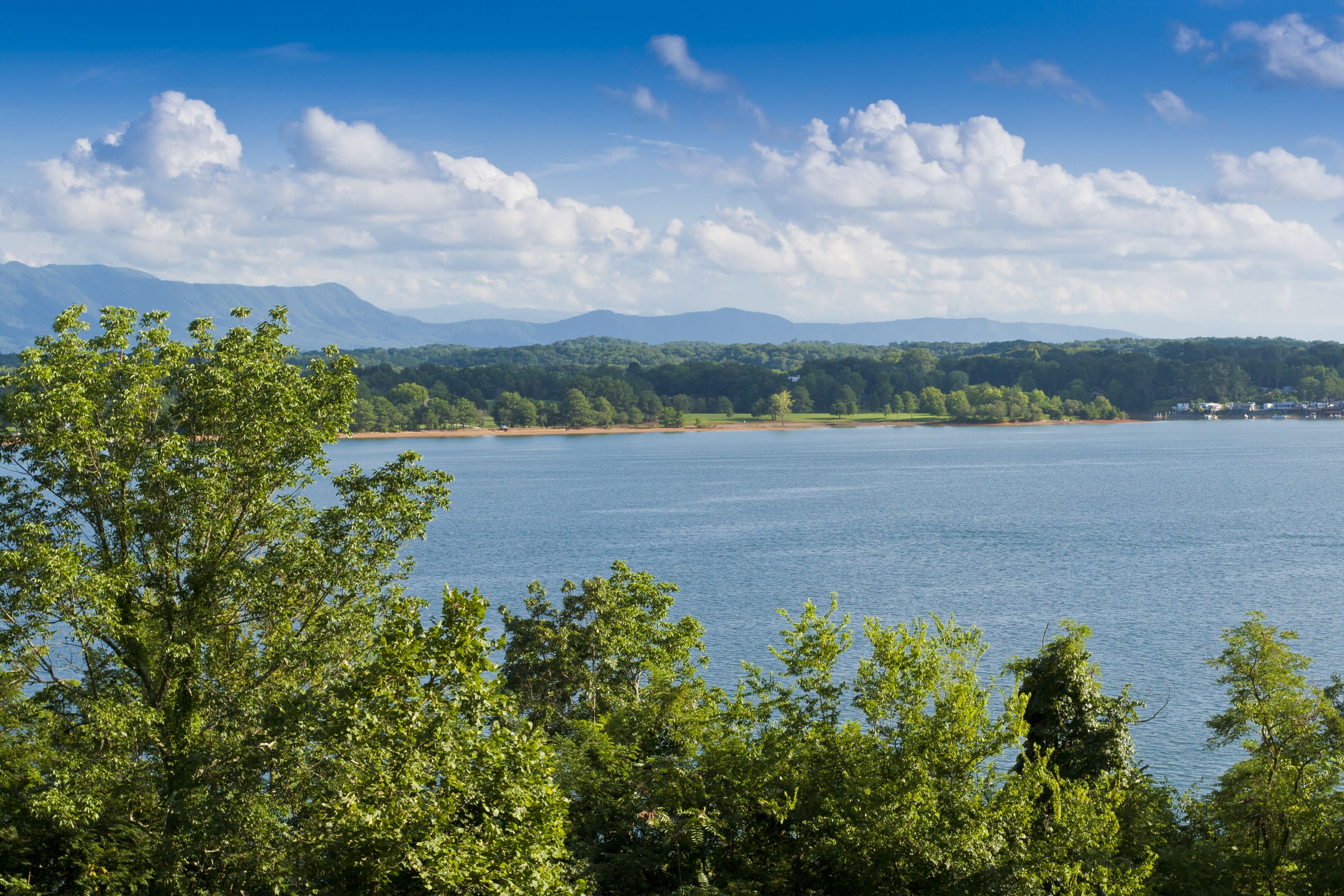 A lake with a forested shoreline and distant mountains.
