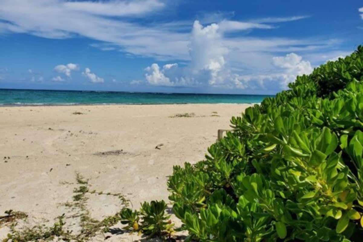 A beach with clear turquoise water, a sandy shore, and green vegetation.